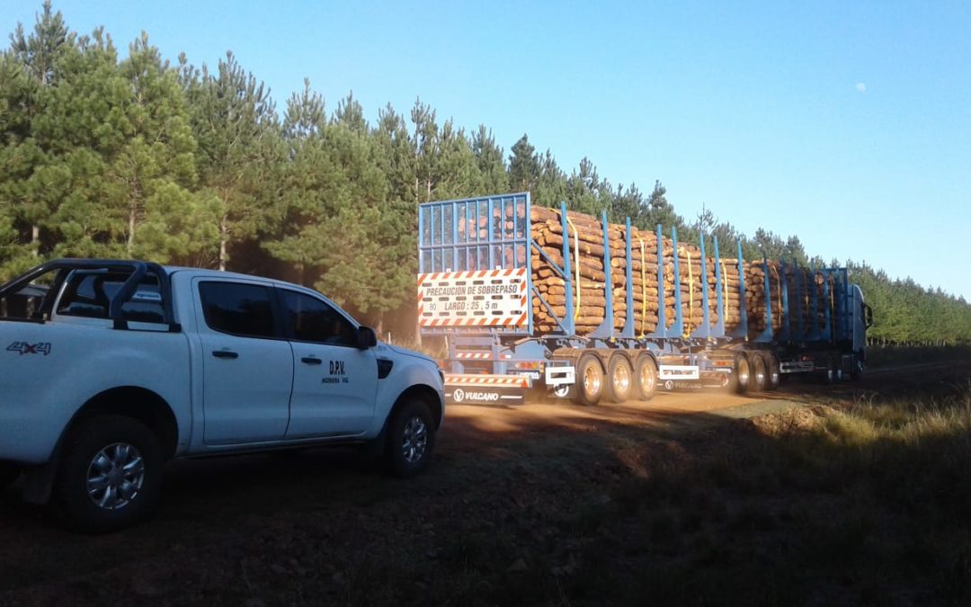 Conformidad en el sector forestal por la aprobación de la circulación de bitrenes