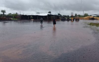 Compleja situación de las forestoindustrias de la Cuenca Centro debido a las lluvias registradas