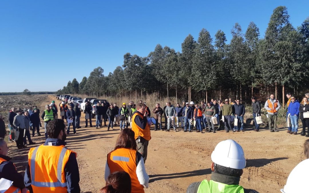 La APEFIC participó en la reunión anual de consorcios forestales